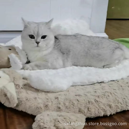 cheap wholesale blankets anti-piling design fleece blanket dog bed blanket for home